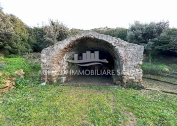 WhatsApp Image 2025-12-16 at 14.46.24 (5) - Attic Alghero - photo 24
