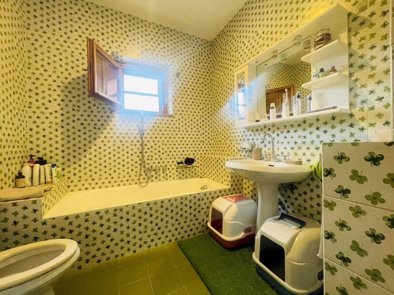 IMG_2201.jpeg - Portion of a house Via Montegallo, Osimo - photo 3