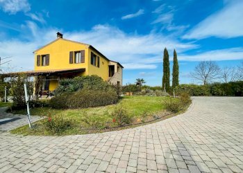 IMG-20240309-WA0065.jpg - Casale morrovalle, Morrovalle - foto 1