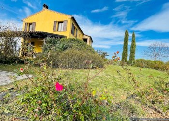 IMG-20240309-WA0063.jpg - Casale morrovalle, Morrovalle - foto 2