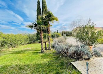 IMG-20240309-WA0047.jpg - Casale morrovalle, Morrovalle - foto 10