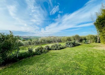 IMG-20240309-WA0057.jpg - Casale morrovalle, Morrovalle - foto 11