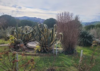 20240308_150739.jpg - Casale morrovalle, Morrovalle - foto 16