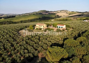 xxl (1).jpg - Casale morrovalle, Morrovalle - foto 20