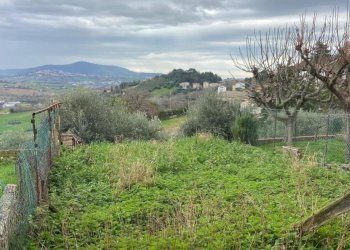 CAMPO OSIMO.jpg - Terratetto - Terracielo Via Paolo VI 22, Osimo - foto 6