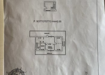 planta 1.jpg - Trilocale Osimo - foto 3