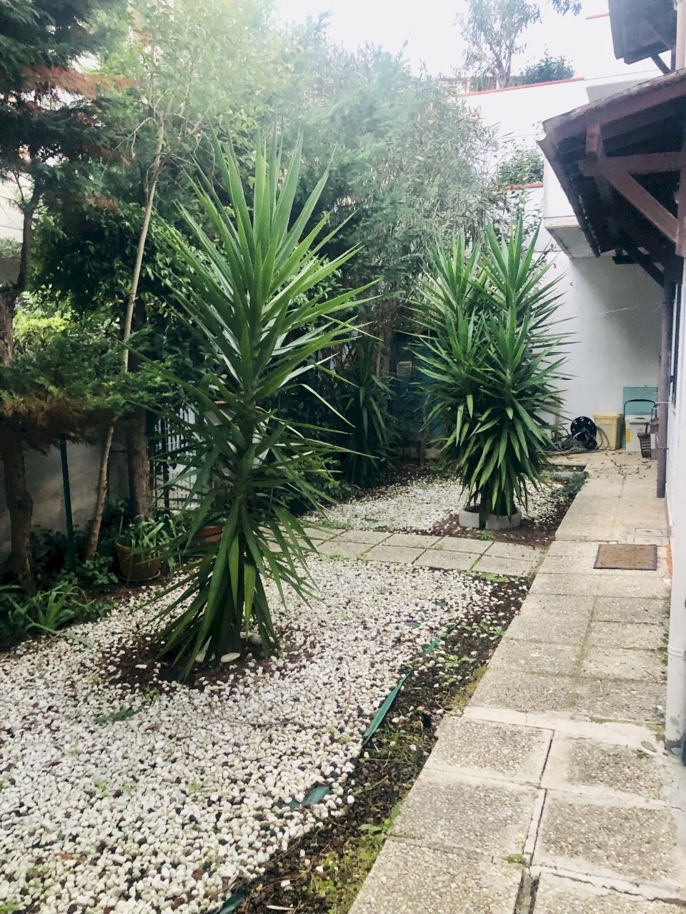 IMG_9604.jpeg - Villa a Schiera Via Ischia, Numana - foto 1