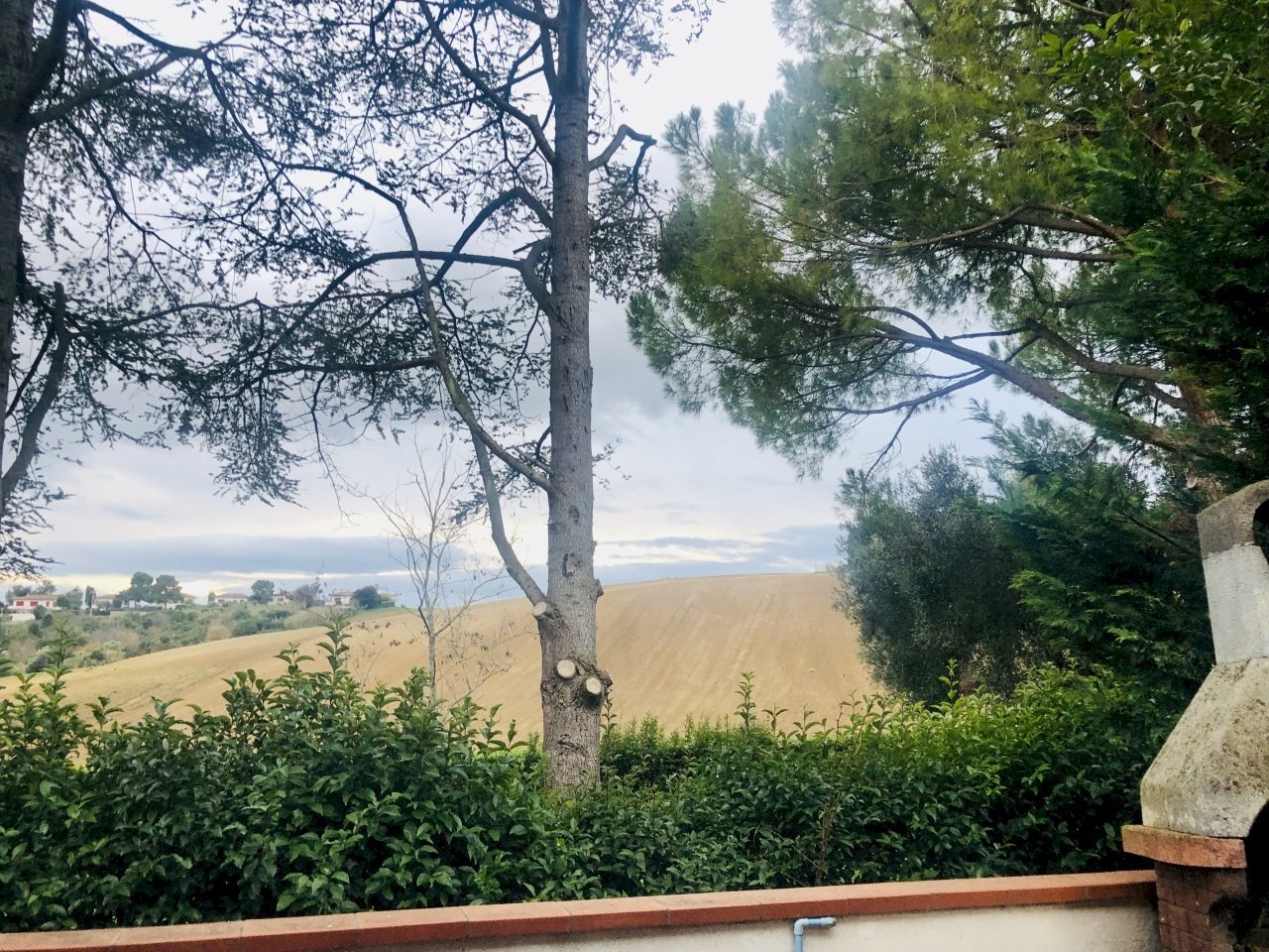 IMG_9607.jpeg - Villa a Schiera Via Ischia, Numana - foto 3