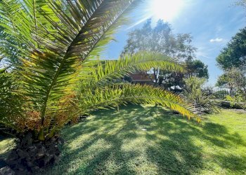 IMG_7595.jpeg - Villa Via Cagiata, Osimo - photo 19