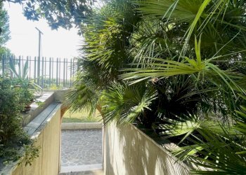 IMG_7630.jpeg - Villa Via Cagiata, Osimo - photo 27