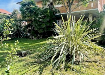 IMG_7617.jpeg - Villa Via Cagiata, Osimo - photo 30