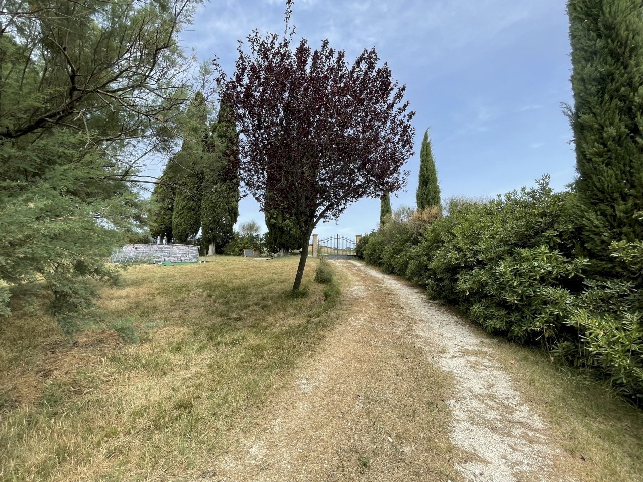 IMG_5766.jpeg - Rustico Filottrano, Filottrano - foto 3