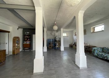 IMG_5751.jpeg - Rustico Filottrano, Filottrano - foto 20