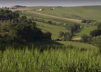 Cattura876.JPG - Rustico CASTEL LEONE DI SUASA, Ostra Vetere - foto 12