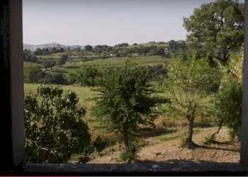 Cattura7654.JPG - Rustico CASTEL LEONE DI SUASA, Ostra Vetere - foto 14