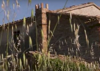 Cattura65432.JPG - Rustico CASTEL LEONE DI SUASA, Ostra Vetere - foto 15