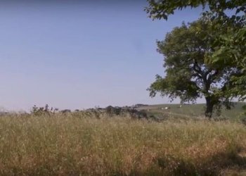 Cattura654321.JPG - Rustico CASTEL LEONE DI SUASA, Ostra Vetere - foto 16