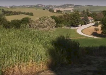 Cattura876998765.JPG - Rustico CASTEL LEONE DI SUASA, Ostra Vetere - foto 19