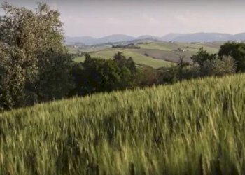 CatturaÃ¨.JPG - Rustico CASTEL LEONE DI SUASA, Ostra Vetere - foto 20