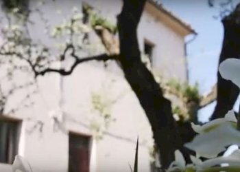 CatturaOPU.JPG - Rustico CASTEL LEONE DI SUASA, Ostra Vetere - foto 22