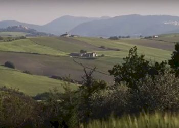 CatturaPI.JPG - Rustico CASTEL LEONE DI SUASA, Ostra Vetere - foto 24