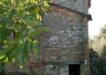 immagine-018.jpg - Rustico CASTEL LEONE DI SUASA, Ostra Vetere - foto 28