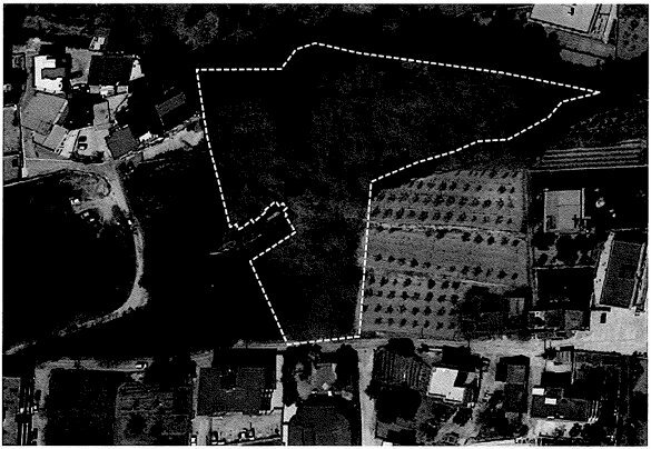 Immagine 2025-03-10 160323.jpg - Terreno agricolo Marano di Napoli - foto 3