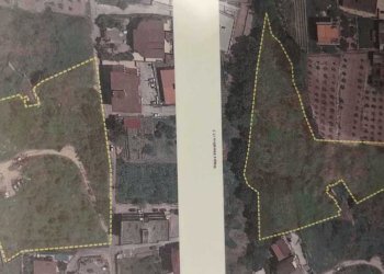 Immagine WhatsApp 2025-03-06 ore 13.11.49_aaf5fd34 - Terreno agricolo Marano di Napoli - foto 1