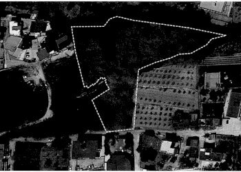 Immagine 2025-03-10 160323.jpg - Terreno agricolo Marano di Napoli - foto 3