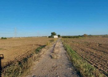 945d2200-a8aa-489f-a473-026d21b4d41c.jpg - Villa Contrada Palmarini, Brindisi - foto 4