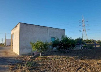 a71e2585-e08e-4623-9acc-7f9120174ab3.jpg - Villa Contrada Palmarini, Brindisi - foto 8