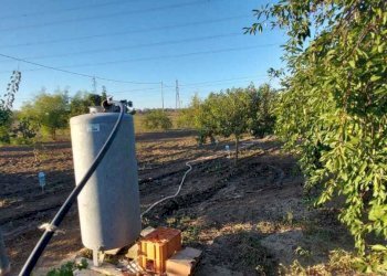 a1311d6e-8054-4df5-8e6a-29d2c5cc530e.jpg - Villa Contrada Palmarini, Brindisi - foto 9