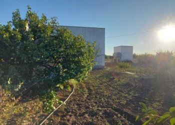 a4560f39-6889-417a-af8d-08c6c7f37dcb.jpg - Villa Contrada Palmarini, Brindisi - foto 10