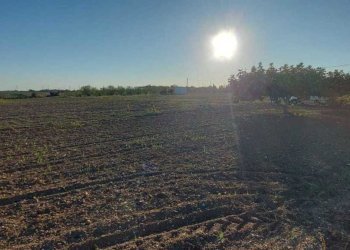 b37dbe3c-524c-4ac1-a04c-aa6578b11913.jpg - Villa Contrada Palmarini, Brindisi - foto 12