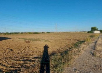 e04114af-b328-43e6-a1e7-3a3a1cf9df52.jpg - Villa Contrada Palmarini, Brindisi - foto 16