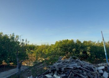 WhatsApp Image 2025-09-26 at 15.53.30.jpeg - Villa Contrada Palmarini, Brindisi - foto 24