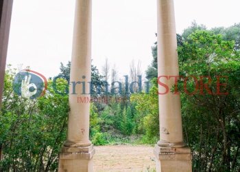 Image18.jpg - Casale Via Messapia 8, Monteroni di Lecce - foto 2