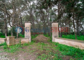 Image01.jpg - Casale Via Messapia 8, Monteroni di Lecce - foto 3