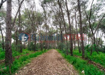 Image02.jpg - Casale Via Messapia 8, Monteroni di Lecce - foto 4