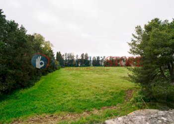 Image19.jpg - Casale Via Messapia 8, Monteroni di Lecce - foto 14