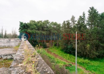 Image20.jpg - Casale Via Messapia 8, Monteroni di Lecce - foto 15