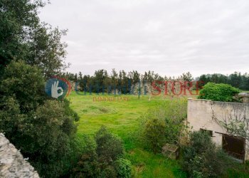 Image23.jpg - Casale Via Messapia 8, Monteroni di Lecce - foto 18