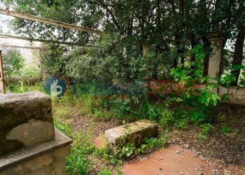 Image25.jpg - Casale Via Messapia 8, Monteroni di Lecce - foto 20