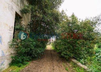 Image26.jpg - Casale Via Messapia 8, Monteroni di Lecce - foto 21