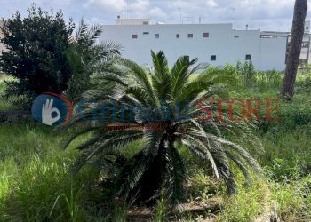 IMG-20250401-WA0018_risultato.jpg - Villa Via Santa Maria di Leuca 1, Ruffano - foto 12