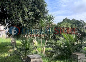 IMG-20250401-WA0019_risultato.jpg - Villa Via Santa Maria di Leuca 1, Ruffano - foto 13