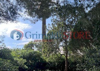 IMG-20250401-WA0020_risultato.jpg - Villa Via Santa Maria di Leuca 1, Ruffano - foto 14