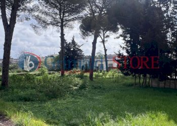 IMG-20250401-WA0027_risultato.jpg - Villa Via Santa Maria di Leuca 1, Ruffano - foto 16