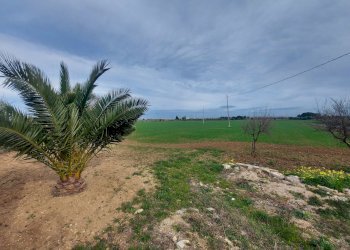 20240119_130352.jpg - Casale Strada per Baccatani 26, Brindisi - foto 3