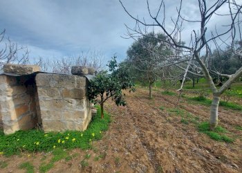 20240119_130723.jpg - Casale Strada per Baccatani 26, Brindisi - foto 7